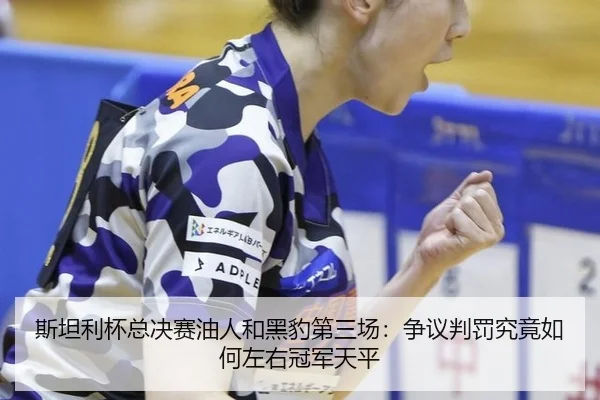 斯坦利杯总决赛油人和黑豹第三场：争议判罚究竟如何左右冠军天平